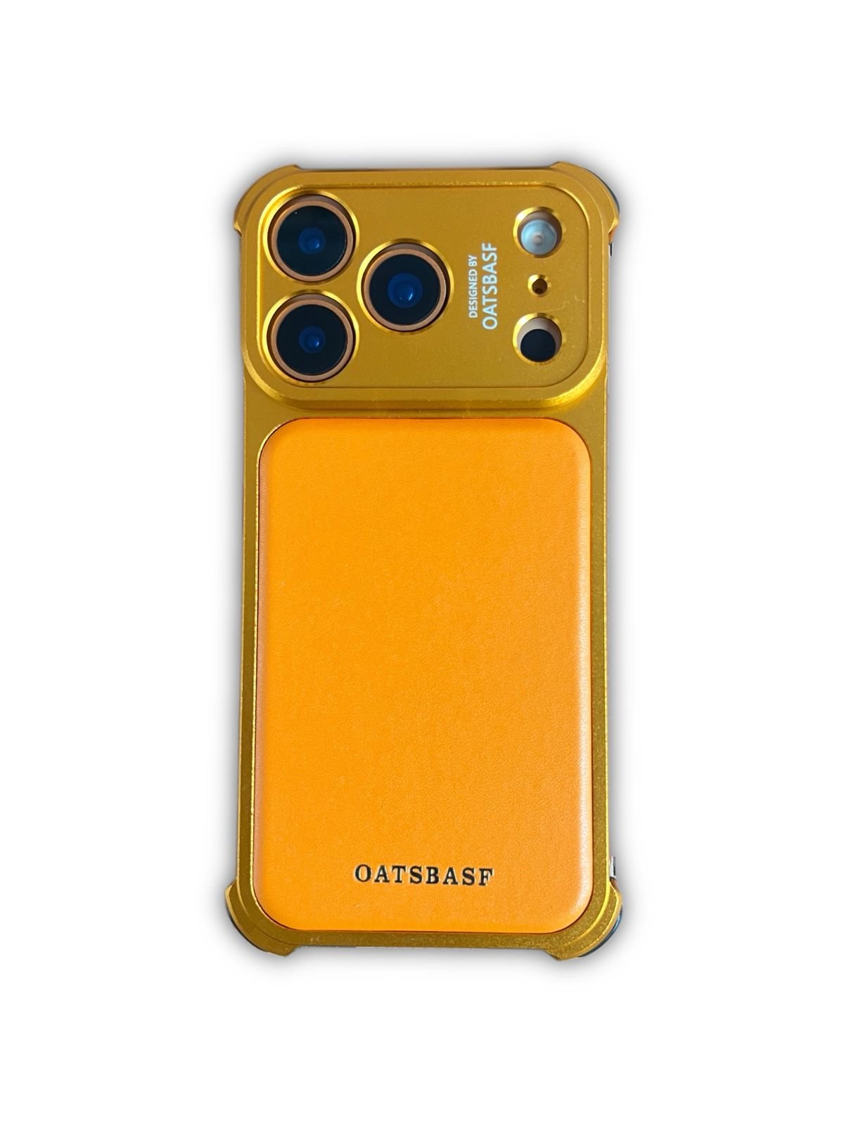 iPhone 17 Pro/ Pro Max Gold Frame Leather Case