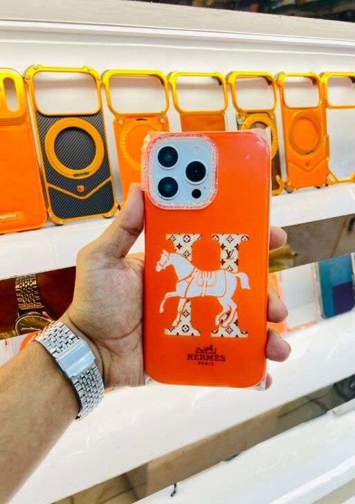 Premium hermes case